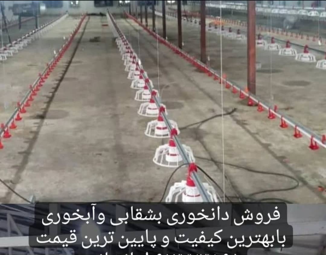 تولید تجهیزات مرغداری ایران صنعت امانخانی در قزوین